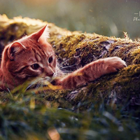 ����������