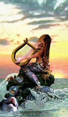 �������