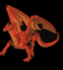 ProBor