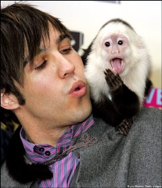 Pete Wentz