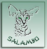 salambo