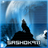 Sashok911