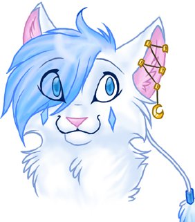 Cat -  