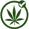 qpi