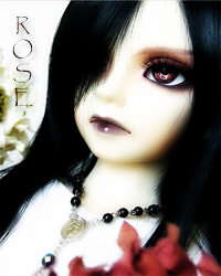 ���� ������