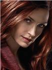 ���� ����\������