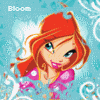 Bloom