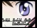 Iris cat