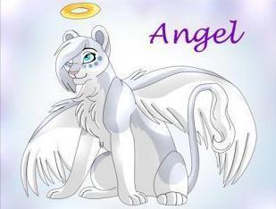 Angel Fidelity