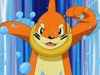 Buizel