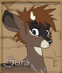 Sora