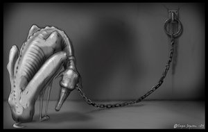 -�������-