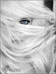 Storm