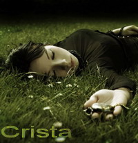 Chris D`Senkhos