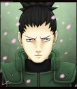 Shikamaru Nara