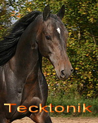 Tecktonik Dance