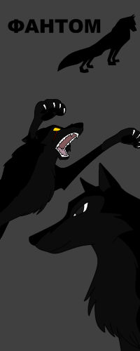 BLACK_WOLF