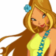 �����-WINX