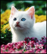 Kira