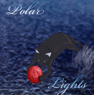 Polar Lights