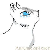 ���������� ����