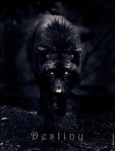 �������� ����