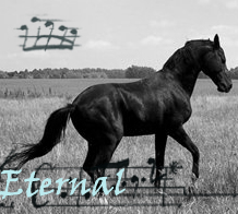 Eternal
