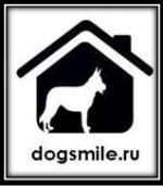 Dogsmile.ru