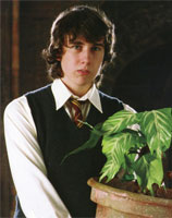 ������ ���������