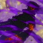 +Sasuke Uchiha+