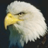 whiteeagle