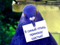 ������