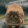 DarkLion`s