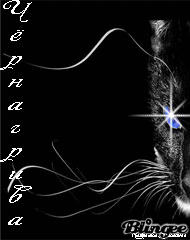 ׸��������