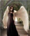 -Dark  Angel-
