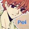 Pel