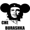 chibik77