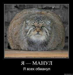 �����