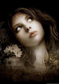 ������ ����