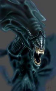 "������"