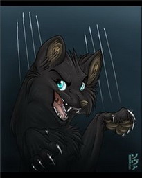 _aka_Revenge
