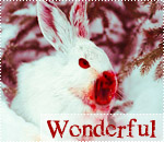 ����� ����