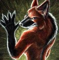 [black][fox]