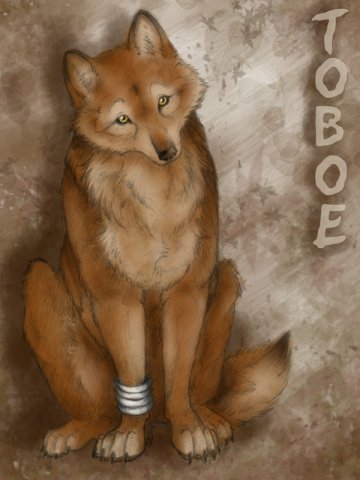 Toboe