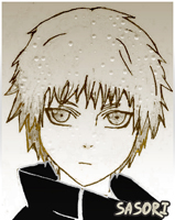 Sasori no Danna