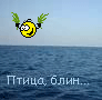 Bagira