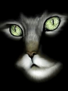 Shadow
