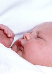 ����� ���������