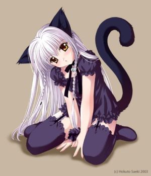Sakyra