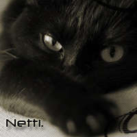 netti.